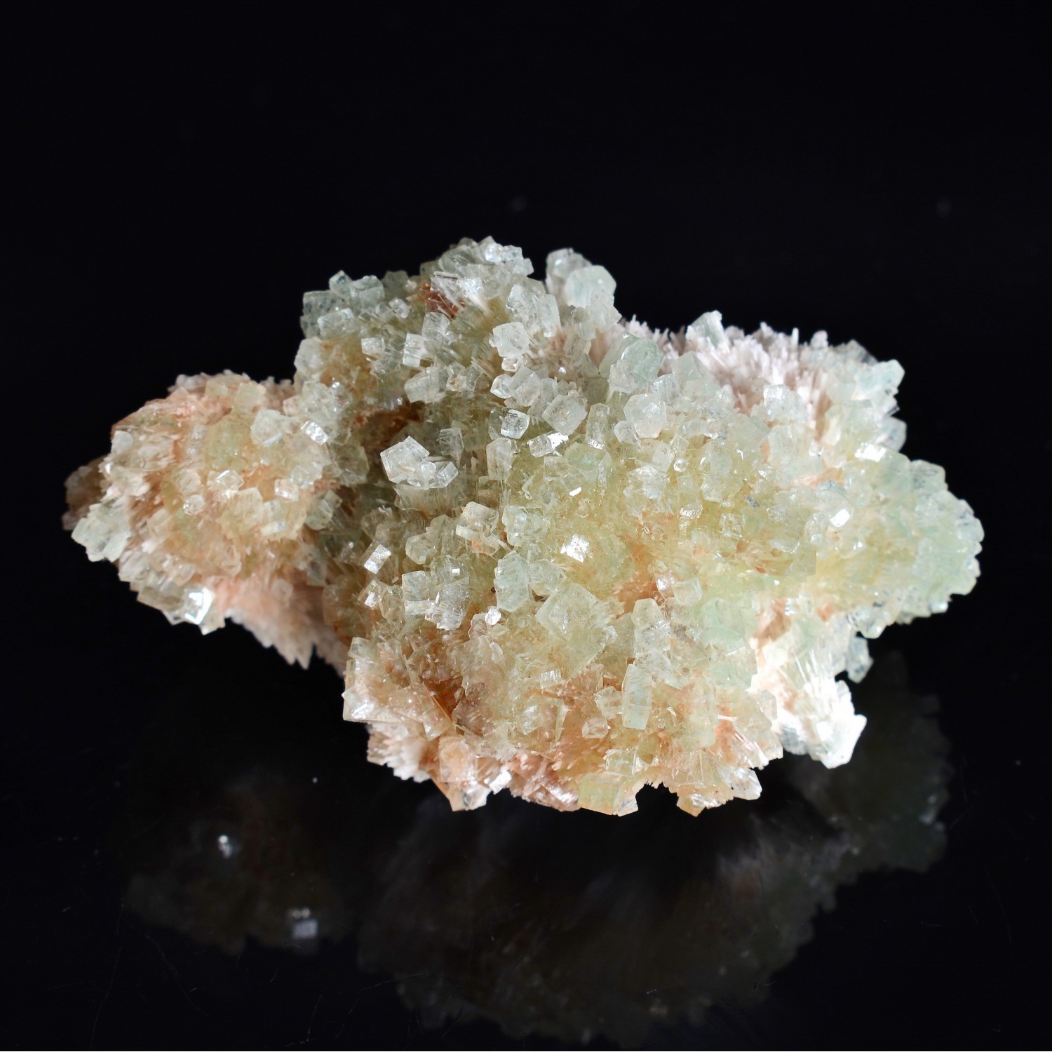 Apophyllite sur mordénite - District de Nashik, Maharashtra, Inde