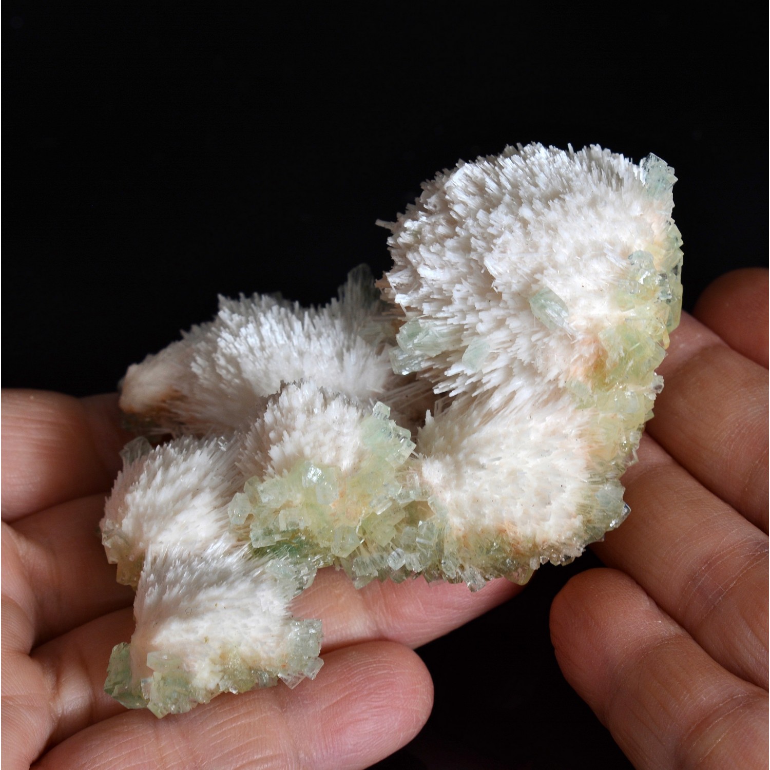 Apophyllite on mordenite - Nashik district, Maharashtra, India