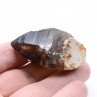 Smoky quartz - Mooralla, Victoria, Australia