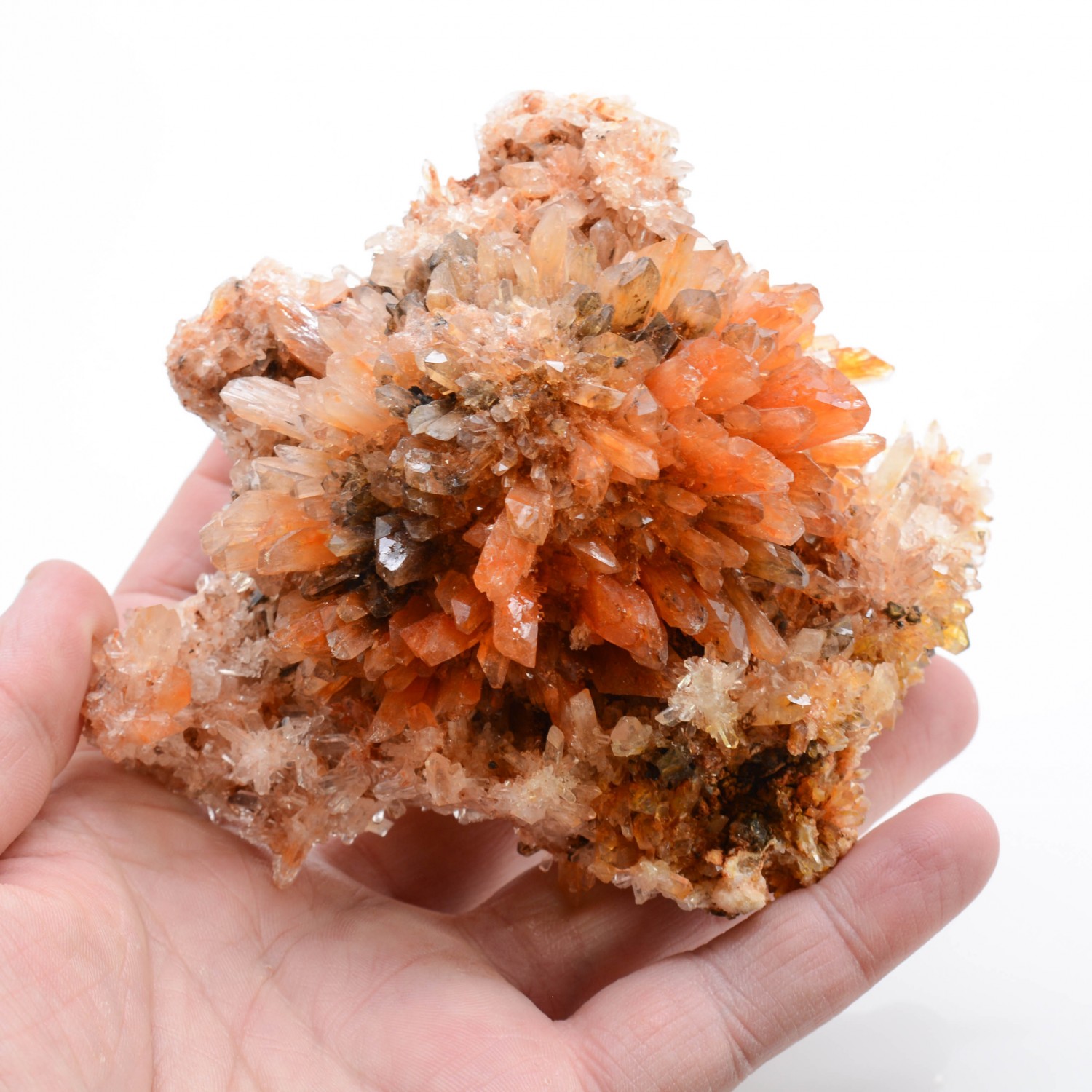 Creedite - Navidad Mine, Durango, Mexico