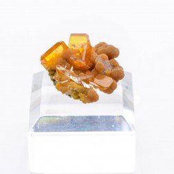 Wulfenite and mimetite - San Carlos Mine, Chihuahua, Mexico