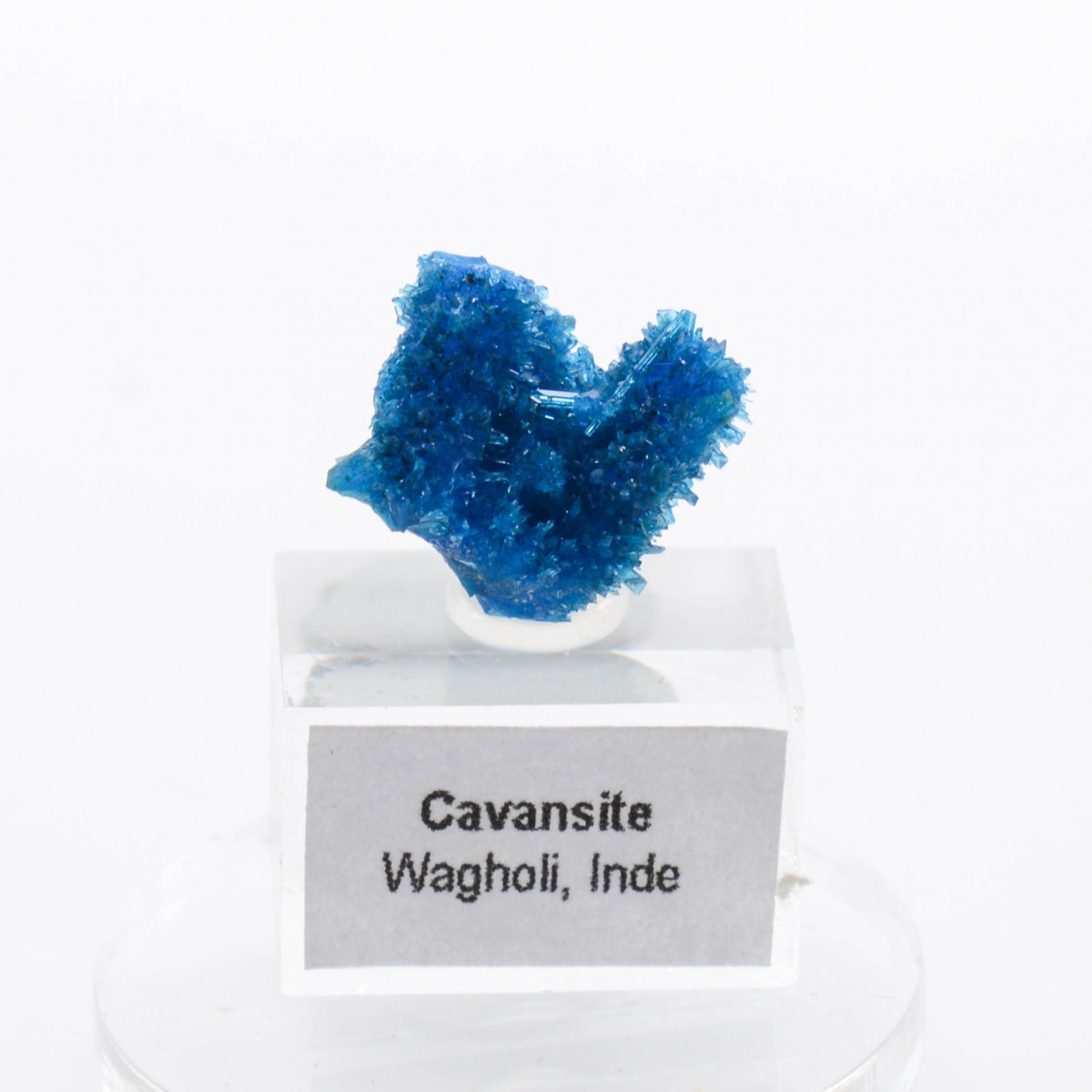 Cavansite - Carrières de Wagholi, district de Poona, Maharashtra, Inde