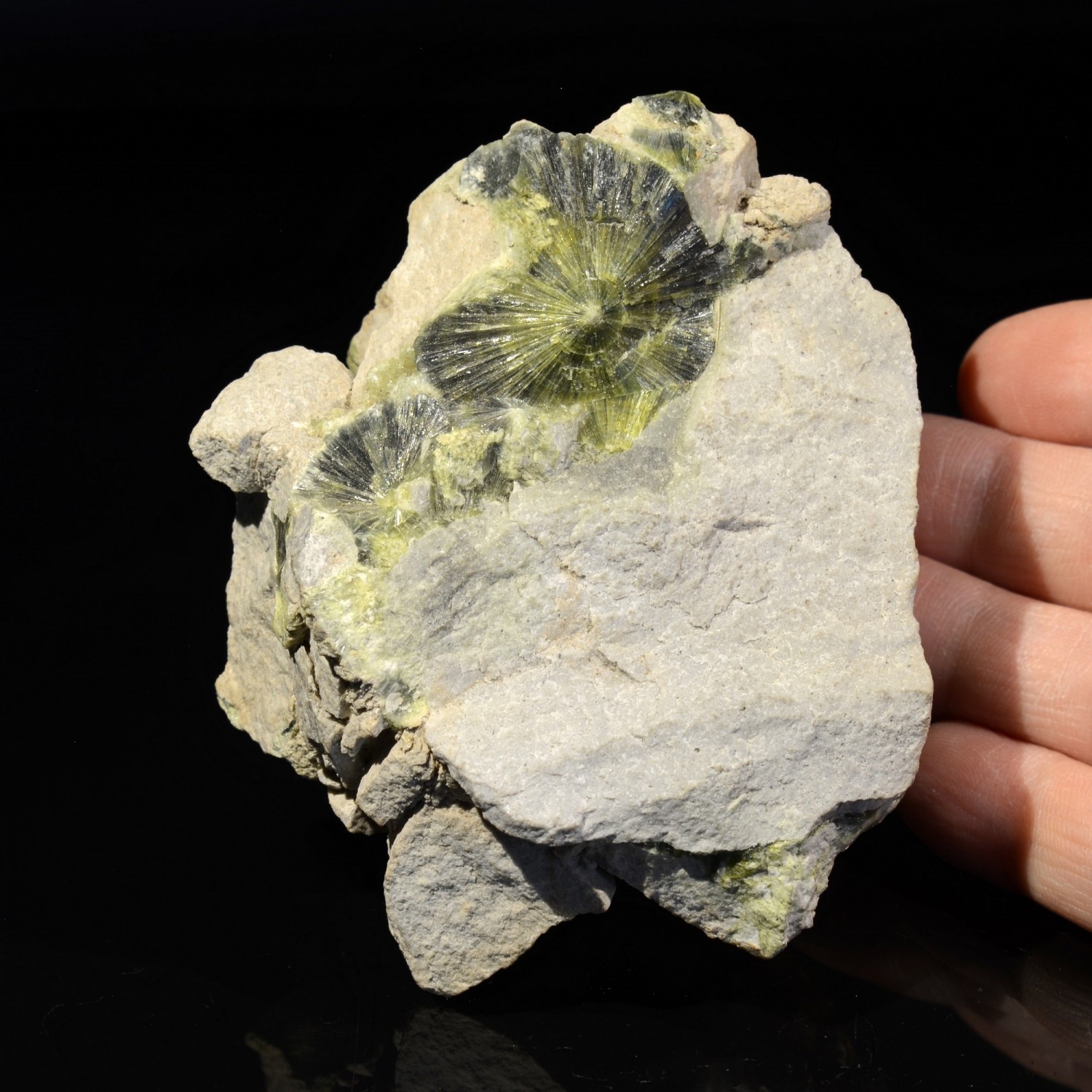 Wavellite - Mauldin, Arkansas, Etats-Unis