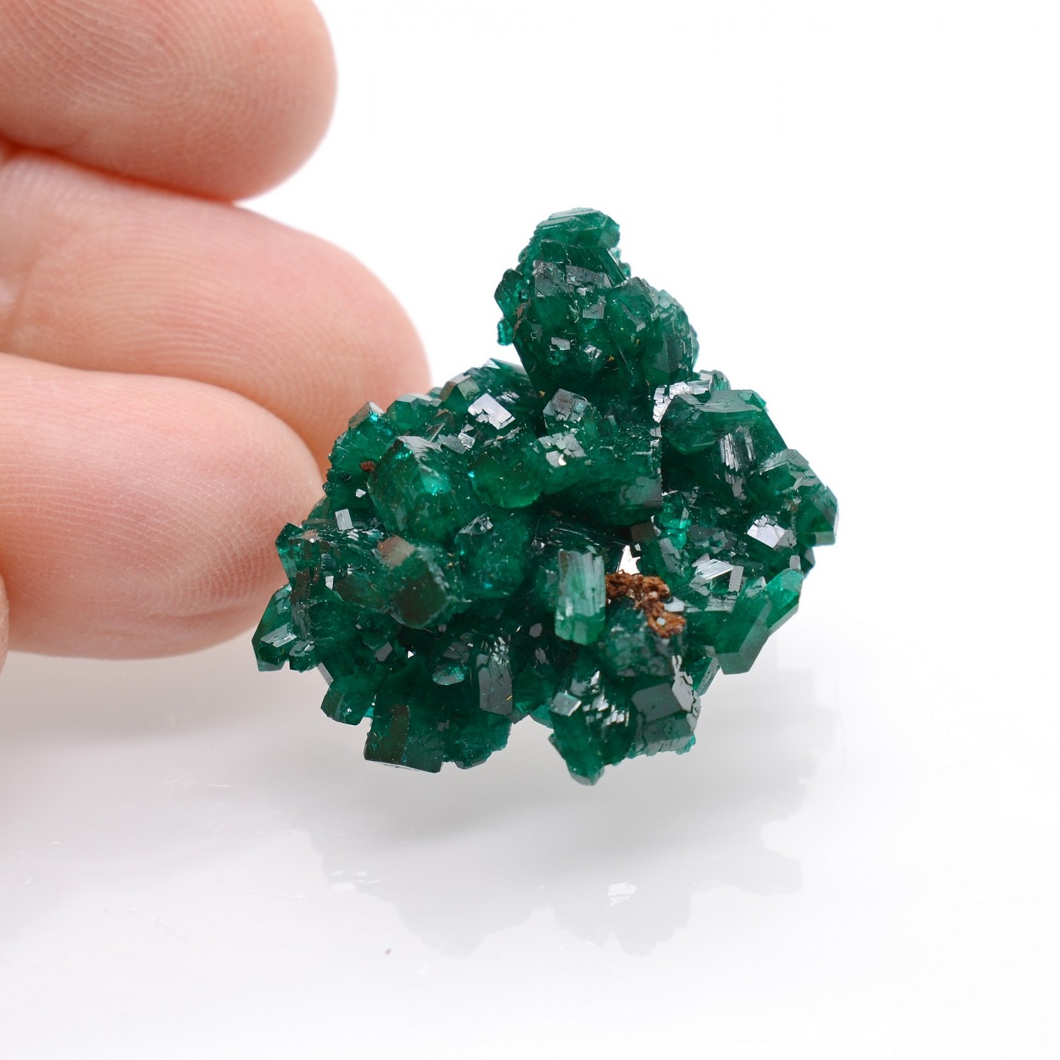 Dioptase - Mindouli, RD Congo