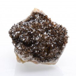 Quartz - Mûr de Bretagne, Côtes d'Armor, France.