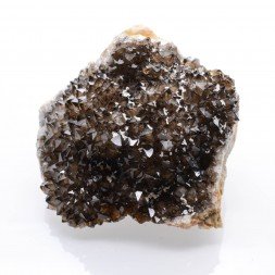 Quartz - Mûr de Bretagne, Côtes d'Armor, France.