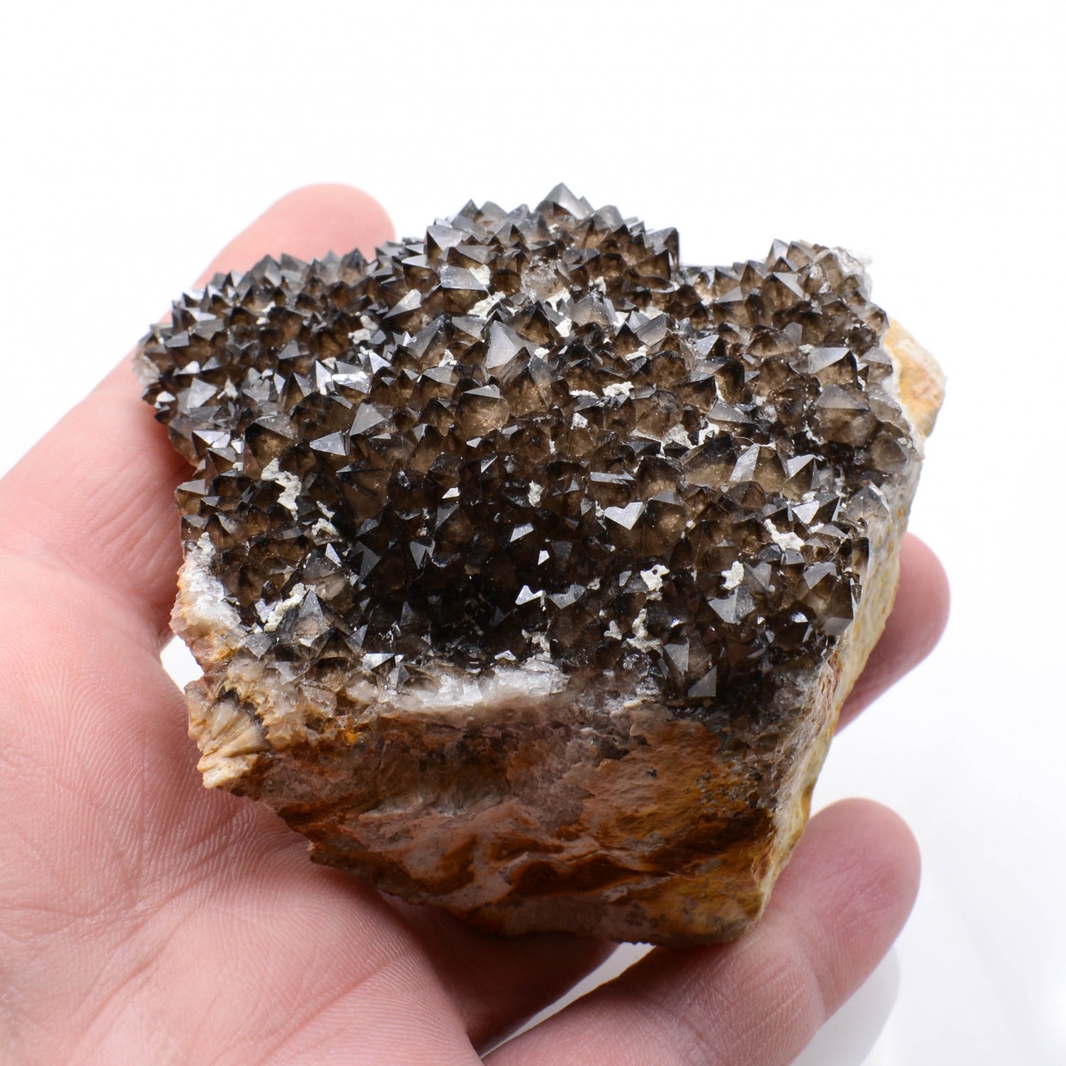 Quartz - Mûr de Bretagne, Côtes d'Armor, France.
