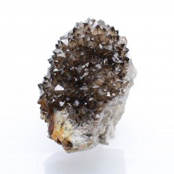 Quartz - Mûr de Bretagne, Côtes d'Armor, France.