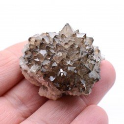 Quartz - Mûr de Bretagne, Côtes d'Armor, France.