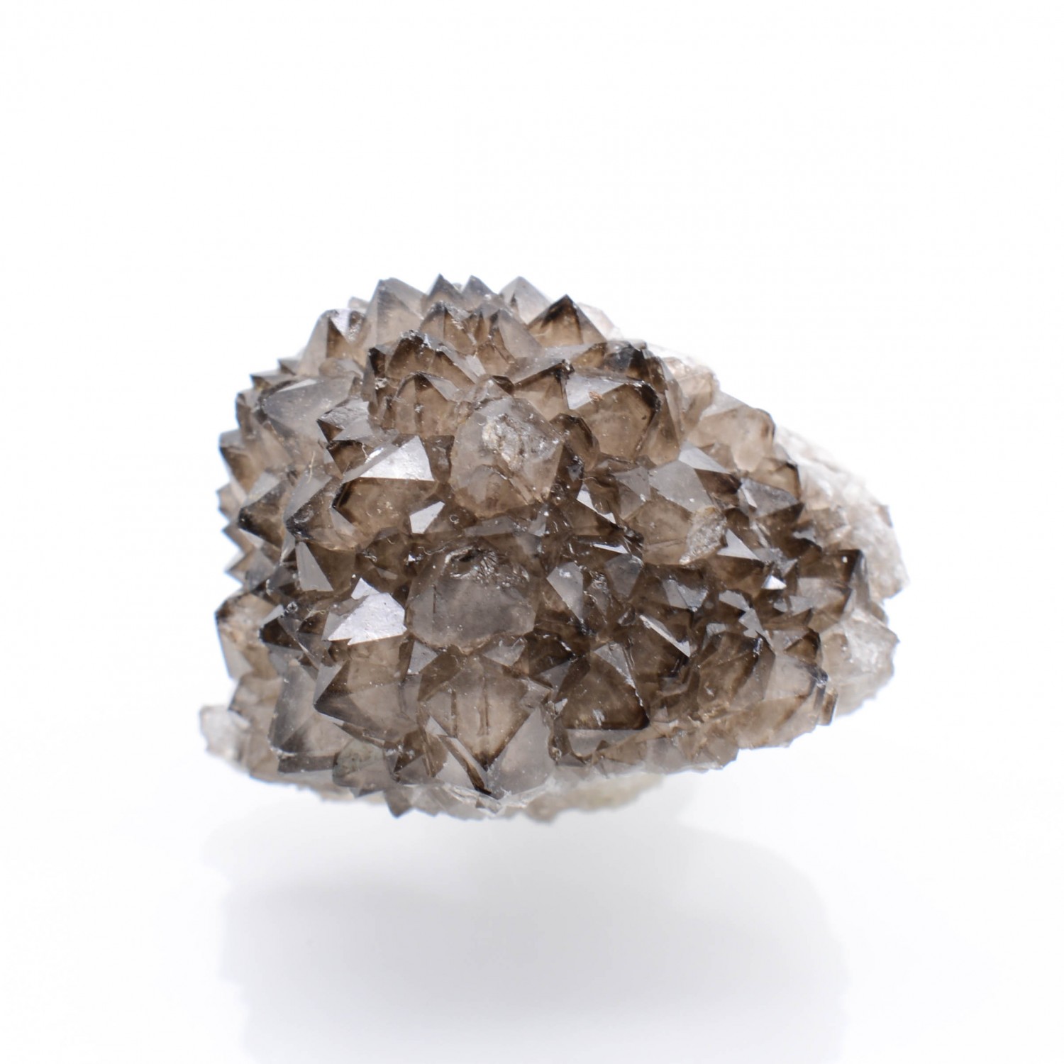 Quartz - Mûr de Bretagne, Côtes d'Armor, France