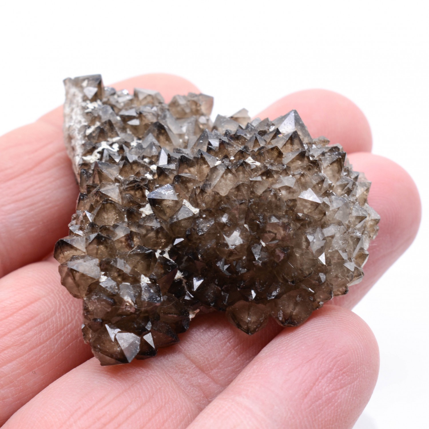 Quartz - Mûr de Bretagne, Côtes d'Armor, France