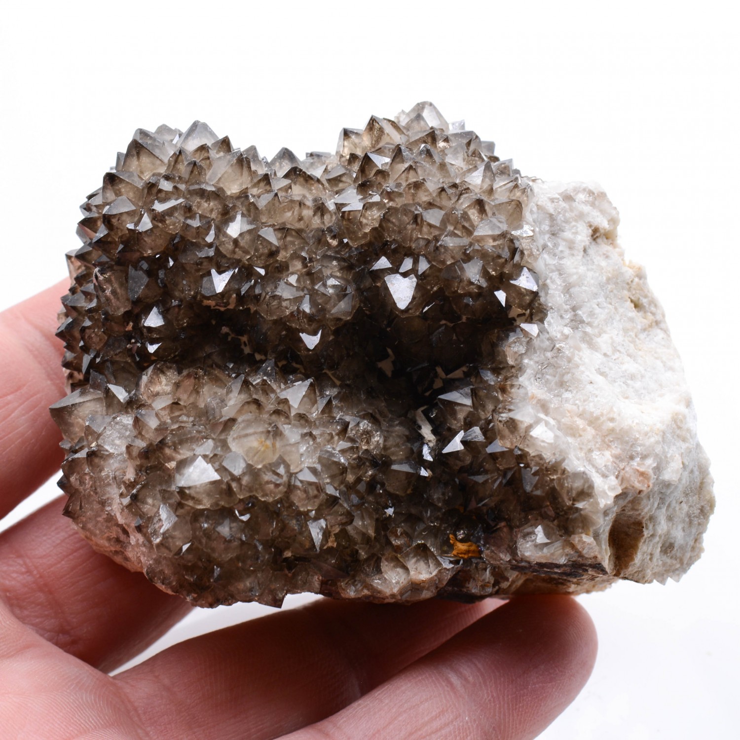 Quartz - Mûr de Bretagne, Côtes d'Armor, France
