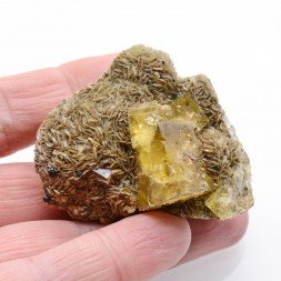 Fluorite on siderite - Peyrebrune, Tarn, France.