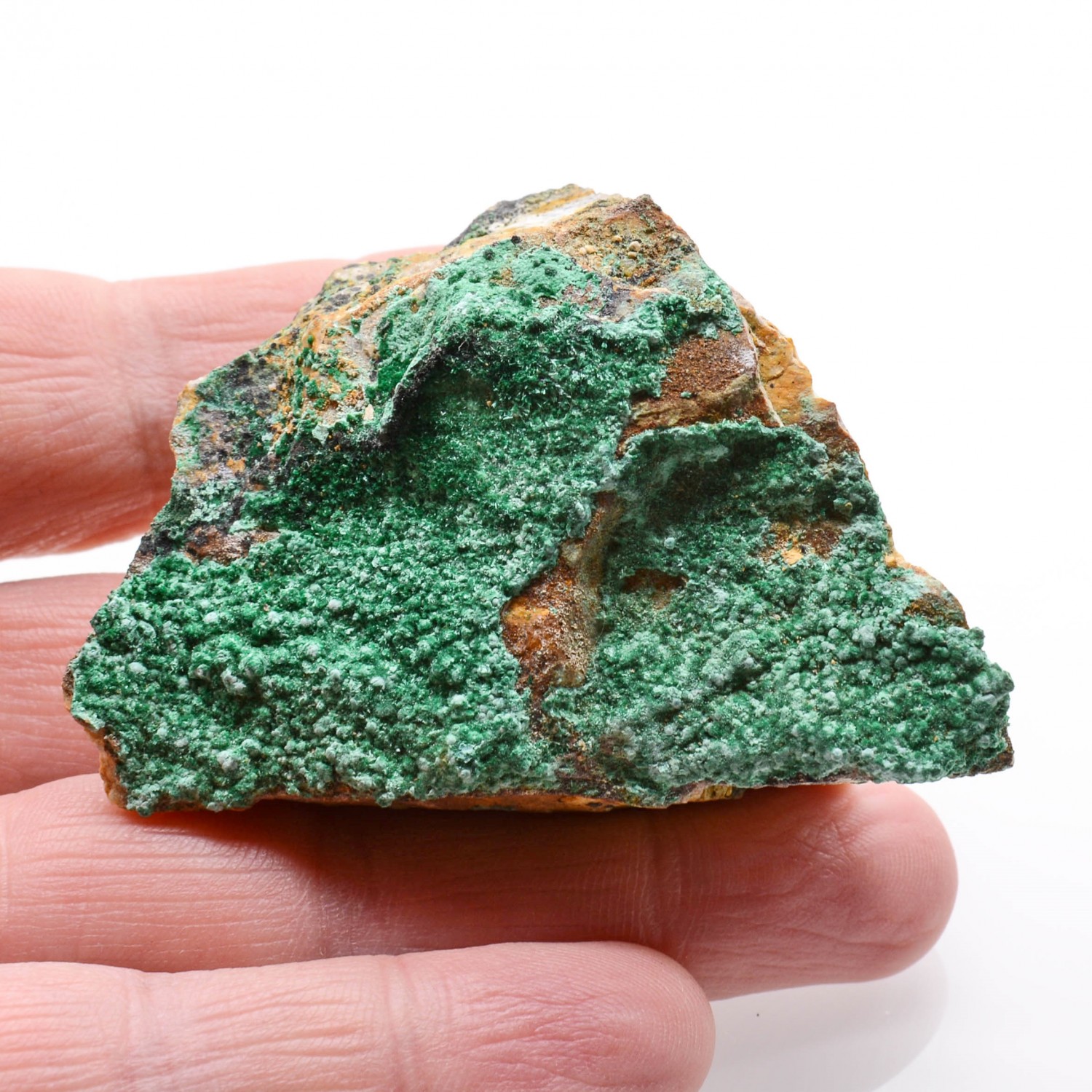 Malachite - Alzon, Gard, France