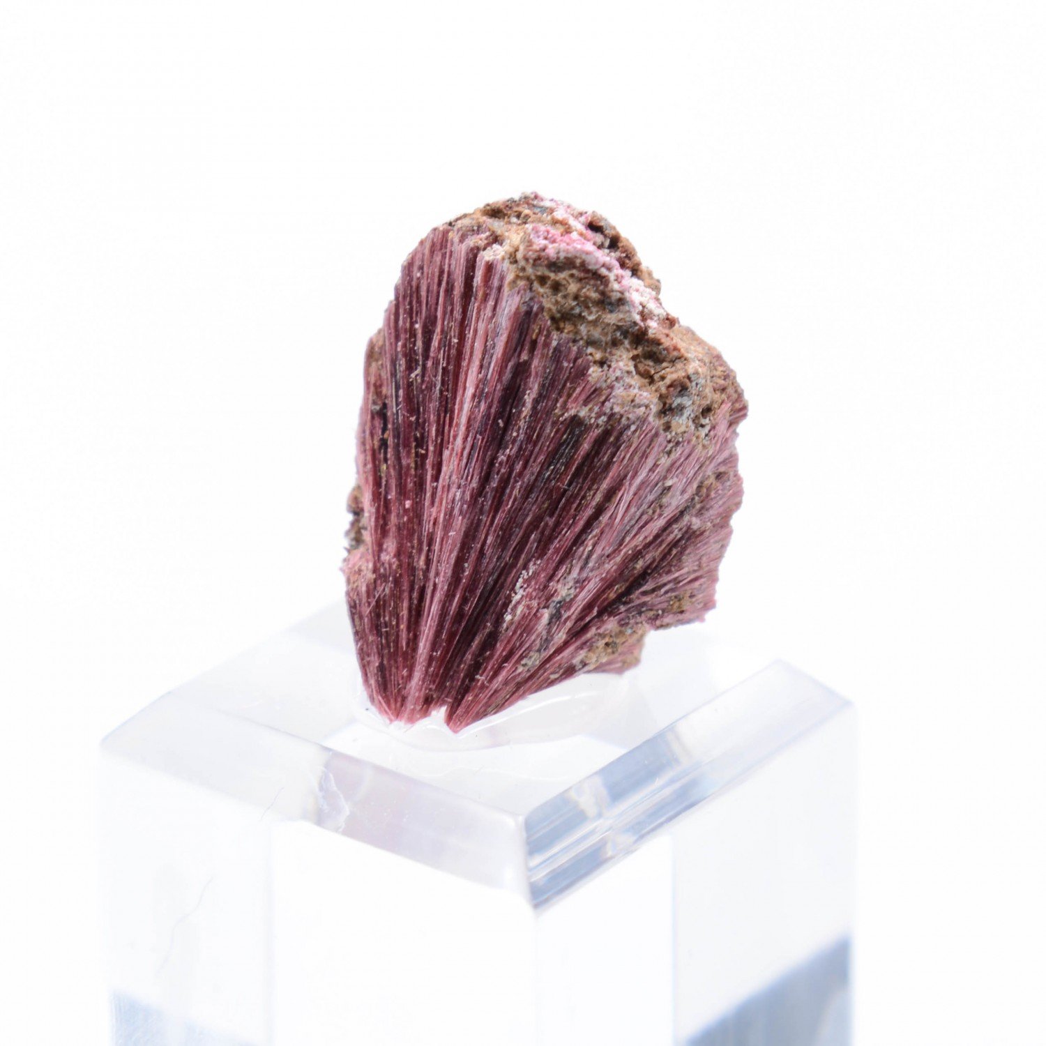 Erythrine - Aghbar, Bou-Azzer, Morocco