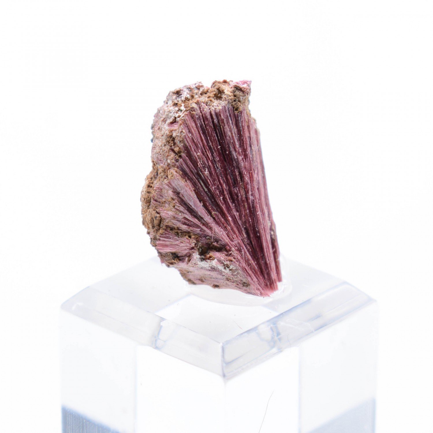 Erythrine - Aghbar, Bou-Azzer, Morocco