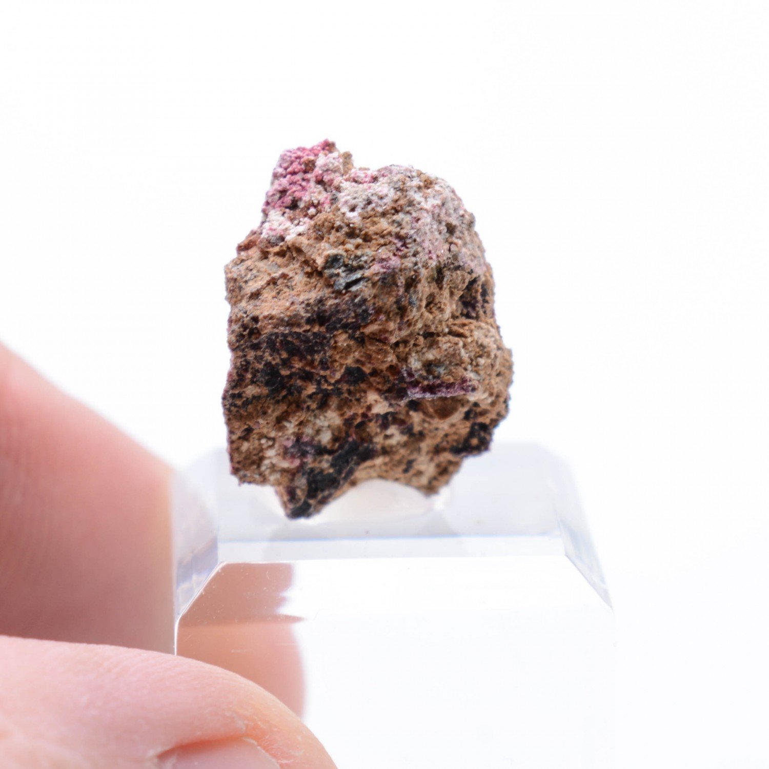 Erythrine - Aghbar, Bou-Azzer, Morocco