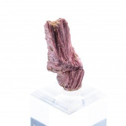 Erythrine - Aghbar, Bou-Azzer, Maroc