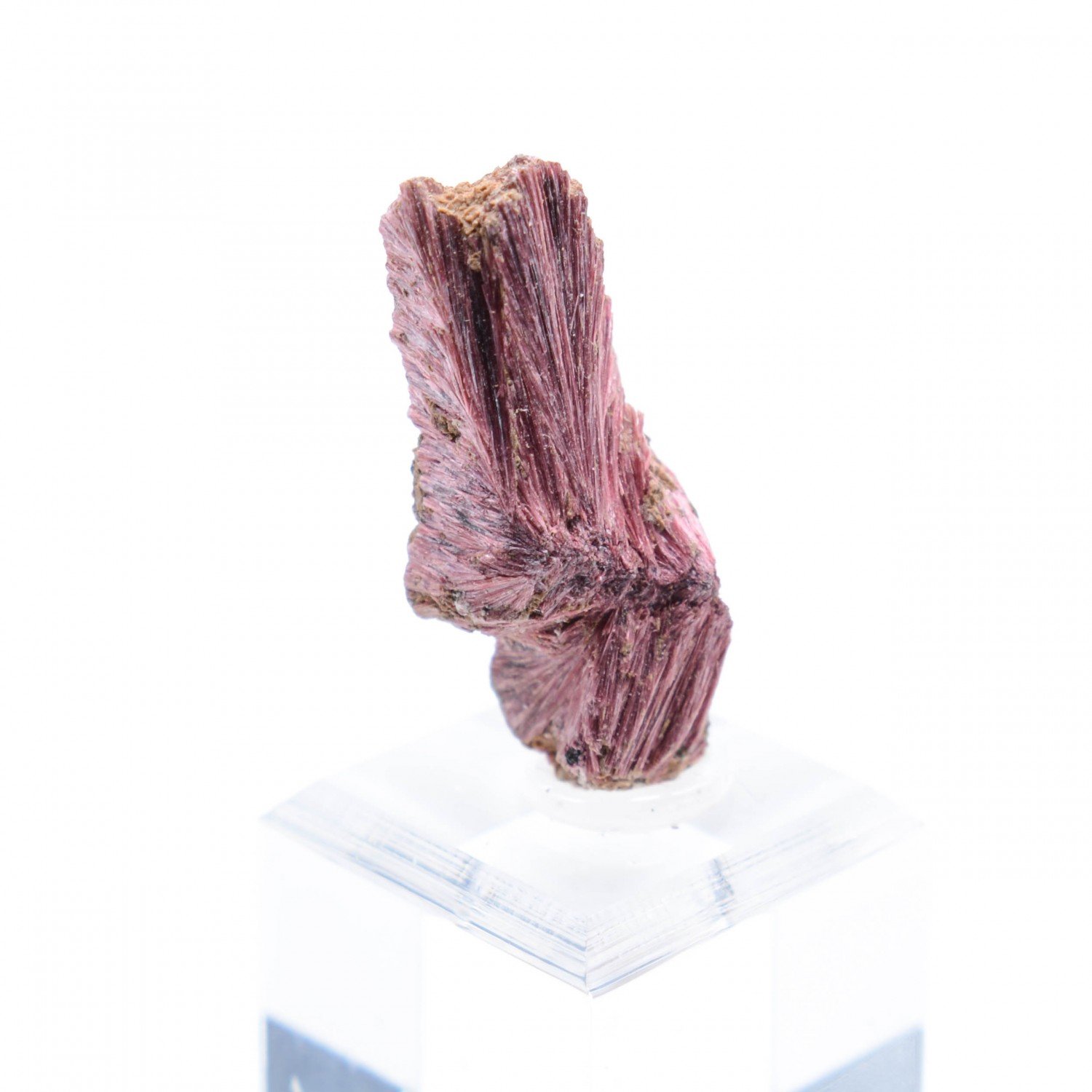 Erythrine - Aghbar, Bou-Azzer, Maroc