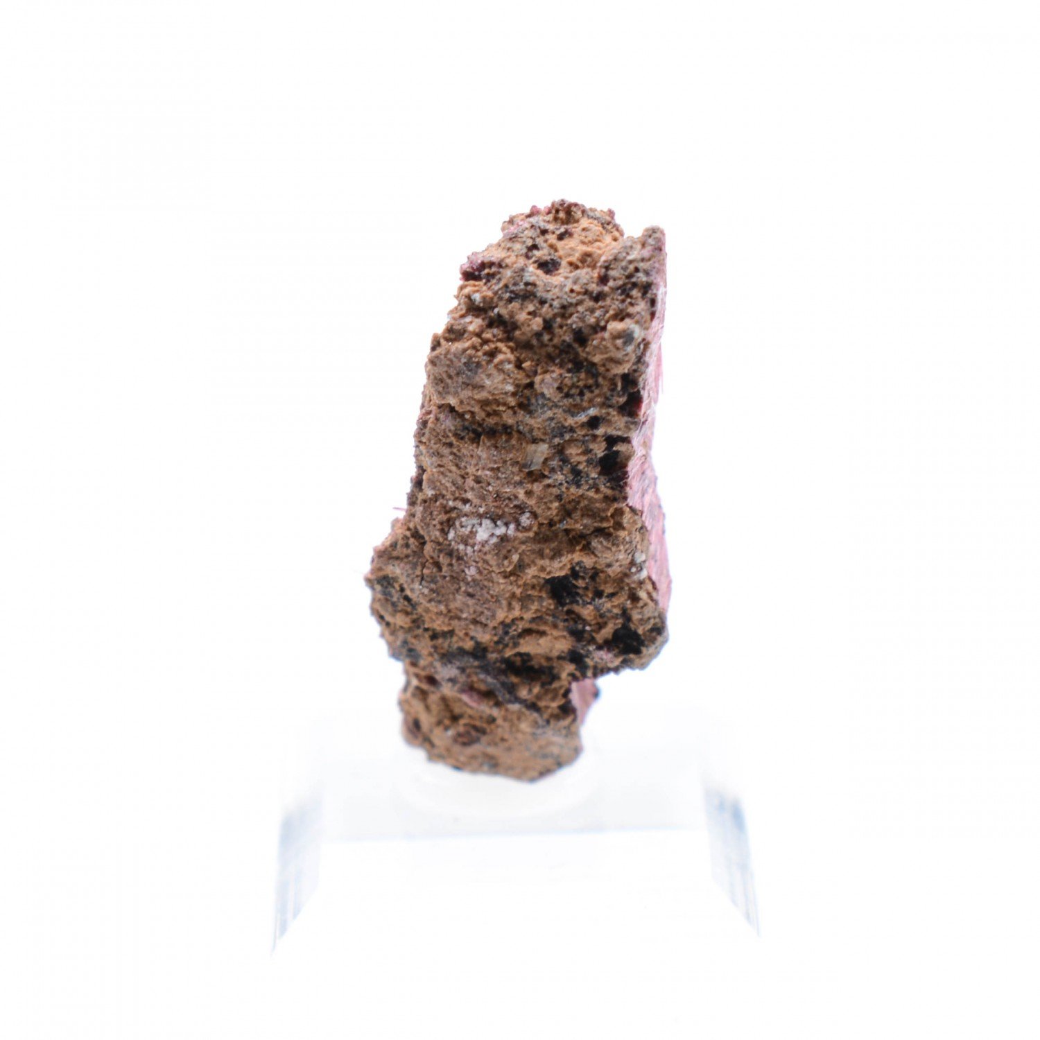 Erythrine - Aghbar, Bou-Azzer, Maroc