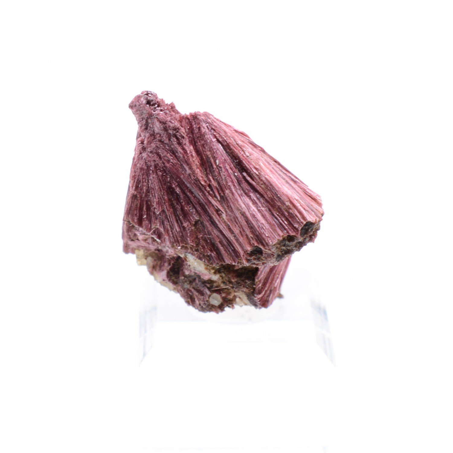 Erythrine - Aghbar, Bou-Azzer, Morocco