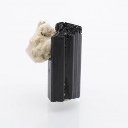 Tourmaline var. schorl et albite - La Salvetat-sur-Agout, Hérault, France