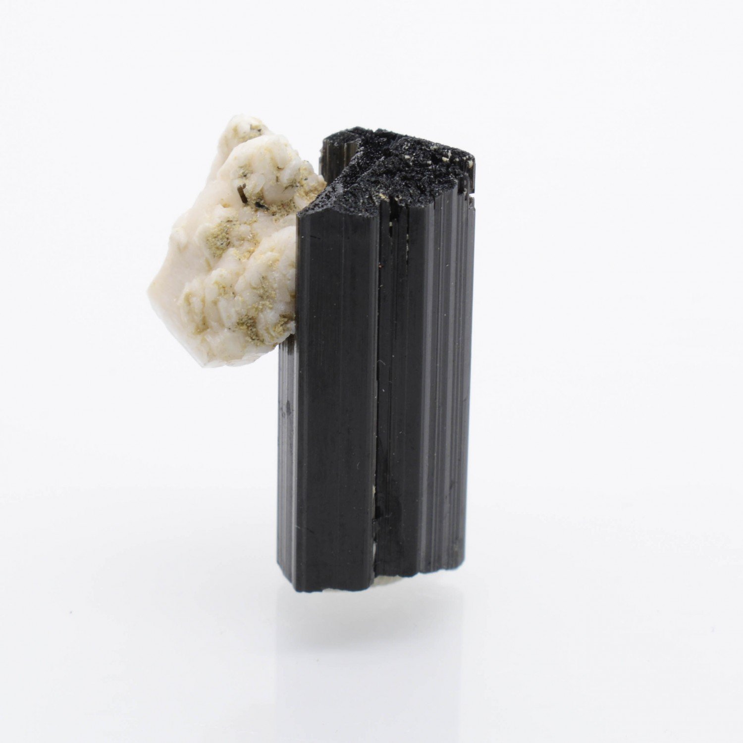 Tourmaline var. schorl and albite - La Salvetat-sur-Agout, Hérault, France