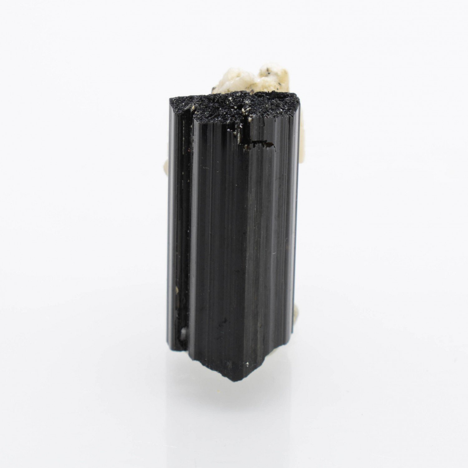 Tourmaline var. schorl and albite - La Salvetat-sur-Agout, Hérault, France