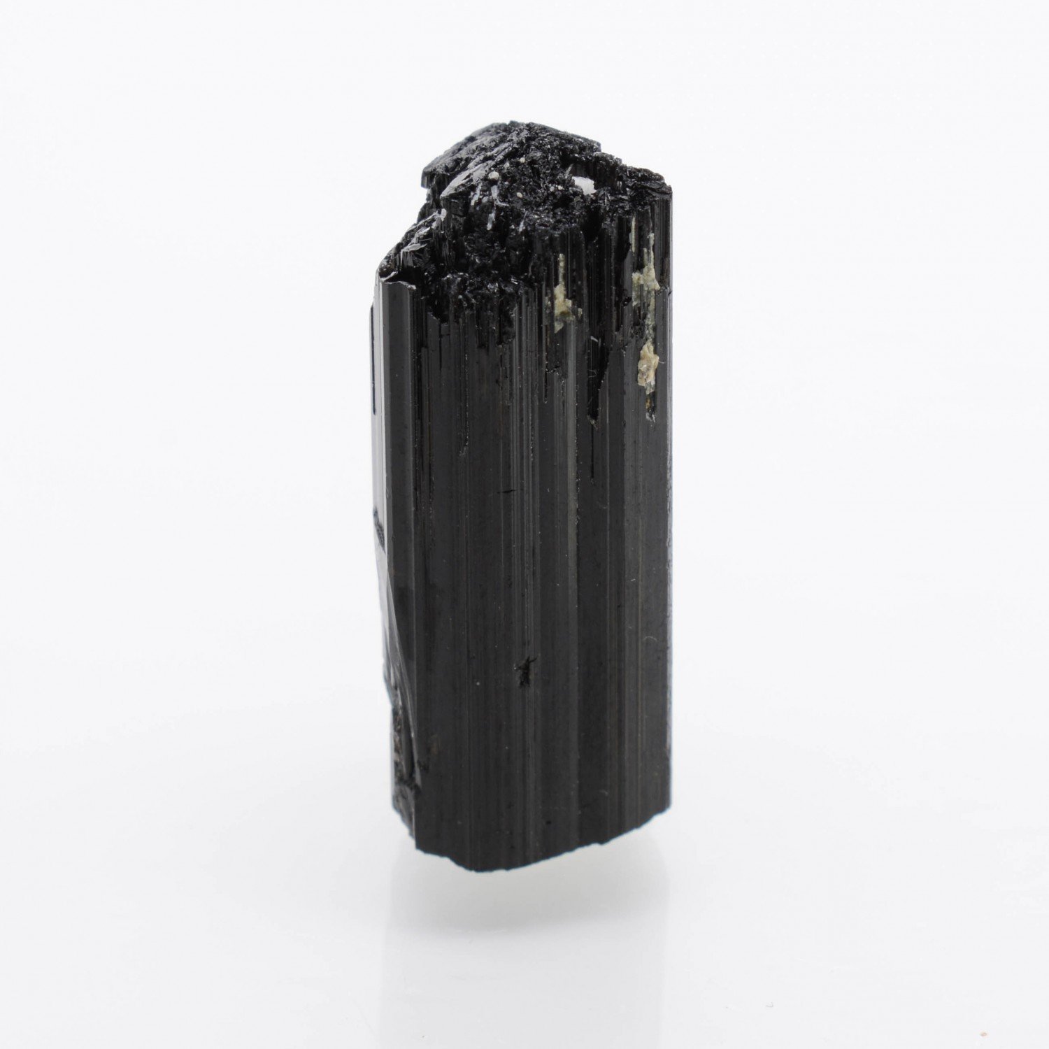 Tourmaline var. schorl - La Salvetat-sur-Agout, Hérault, France