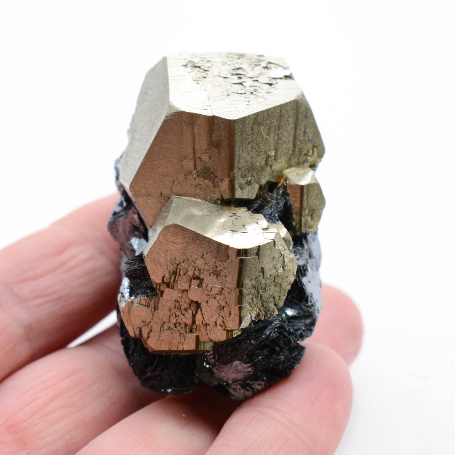 Pyrite et hématite - Mine Valle Giove, Rio Marina, Île d'Elbe, Toscane, Italie