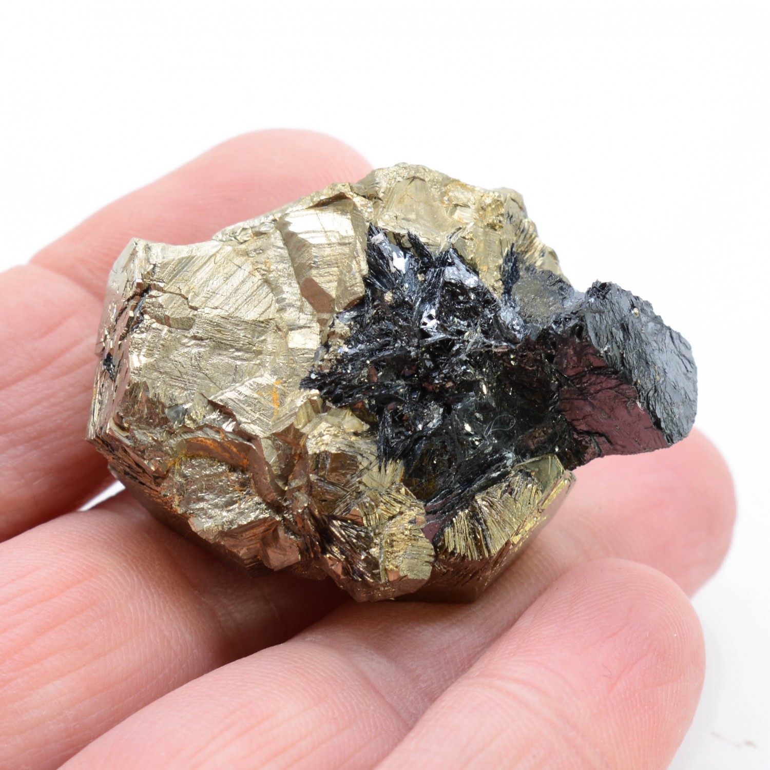 Pyrite et hématite - Mine Valle Giove, Rio Marina, Île d'Elbe, Toscane, Italie