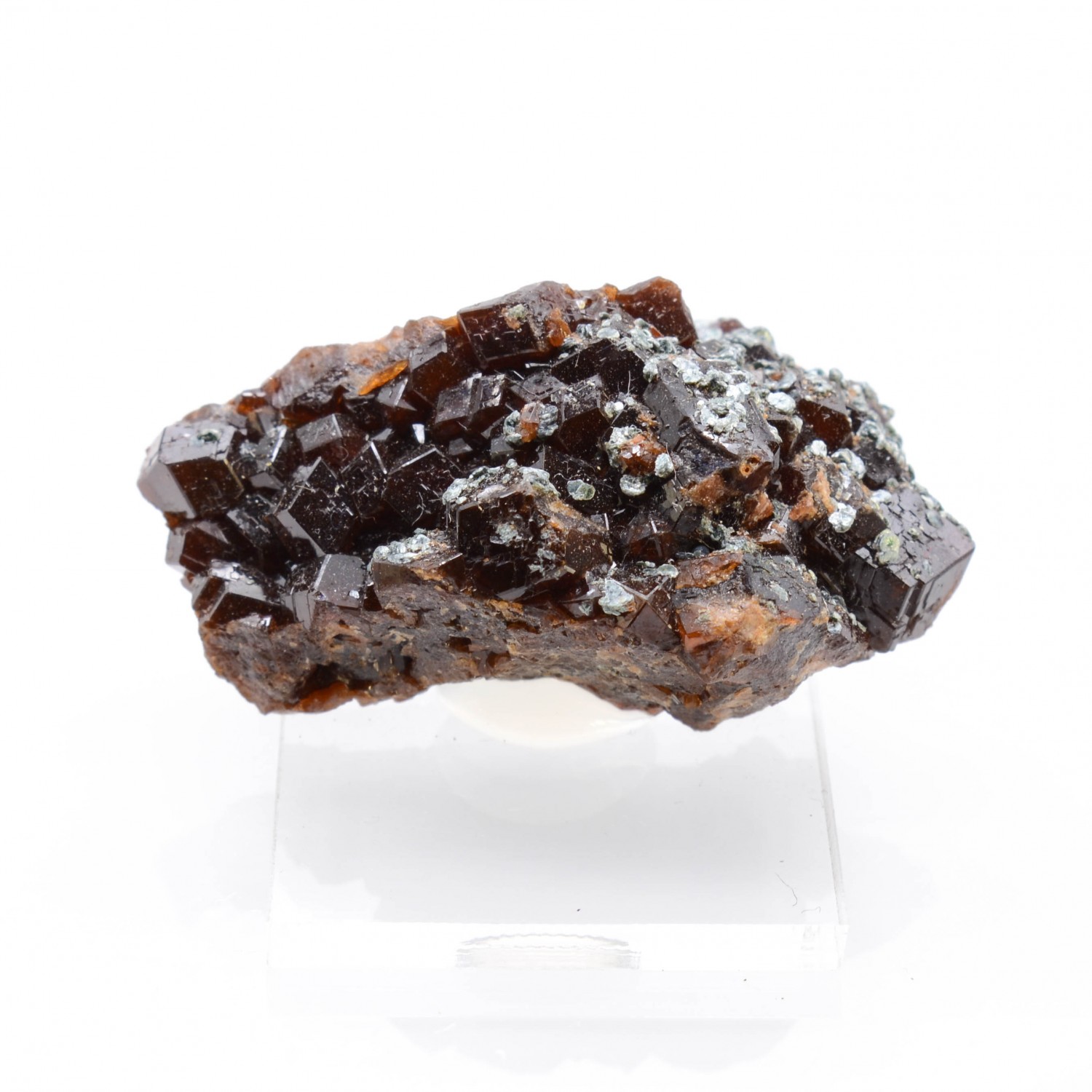 Garnet and clinochlore - Bellecombe, Châtillon, Aosta valley, Italy