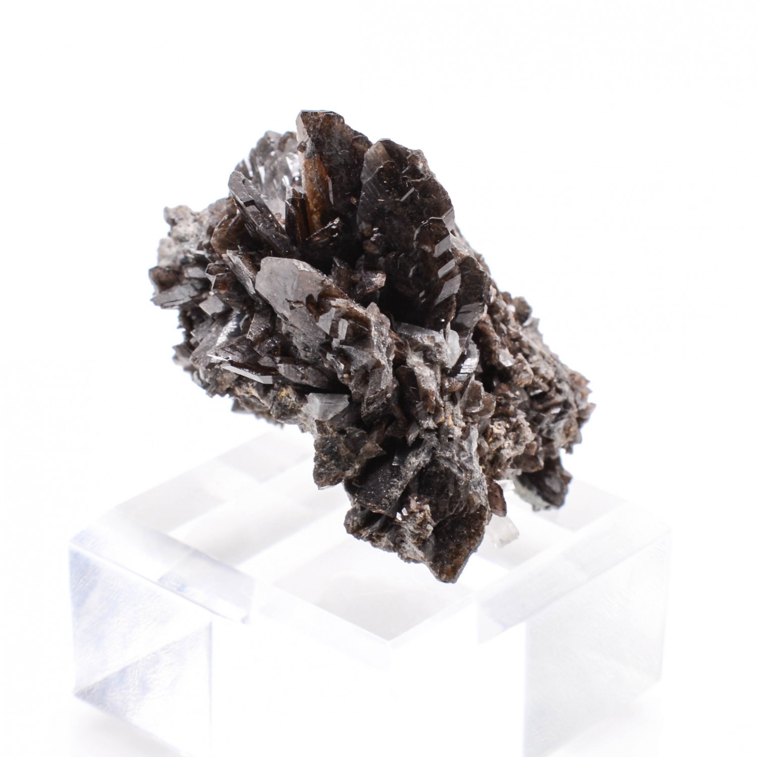 Axinite - Mine Obira, Ono-gun, Kyushu, Japon