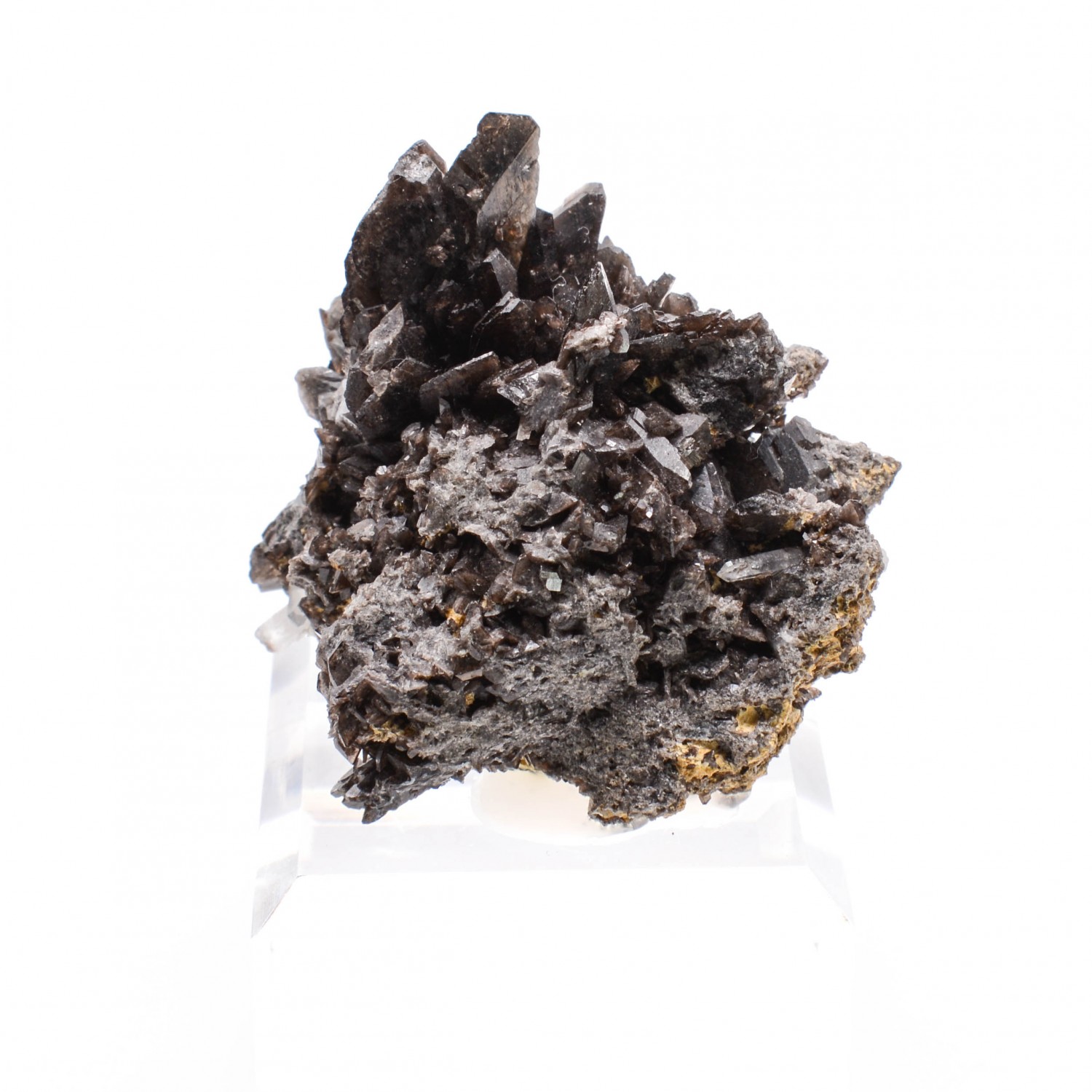 Axinite - Mine Obira, Ono-gun, Kyushu, Japon