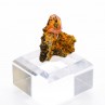 Wulfenite - San Carlos mine, Chihuahua, Mexico