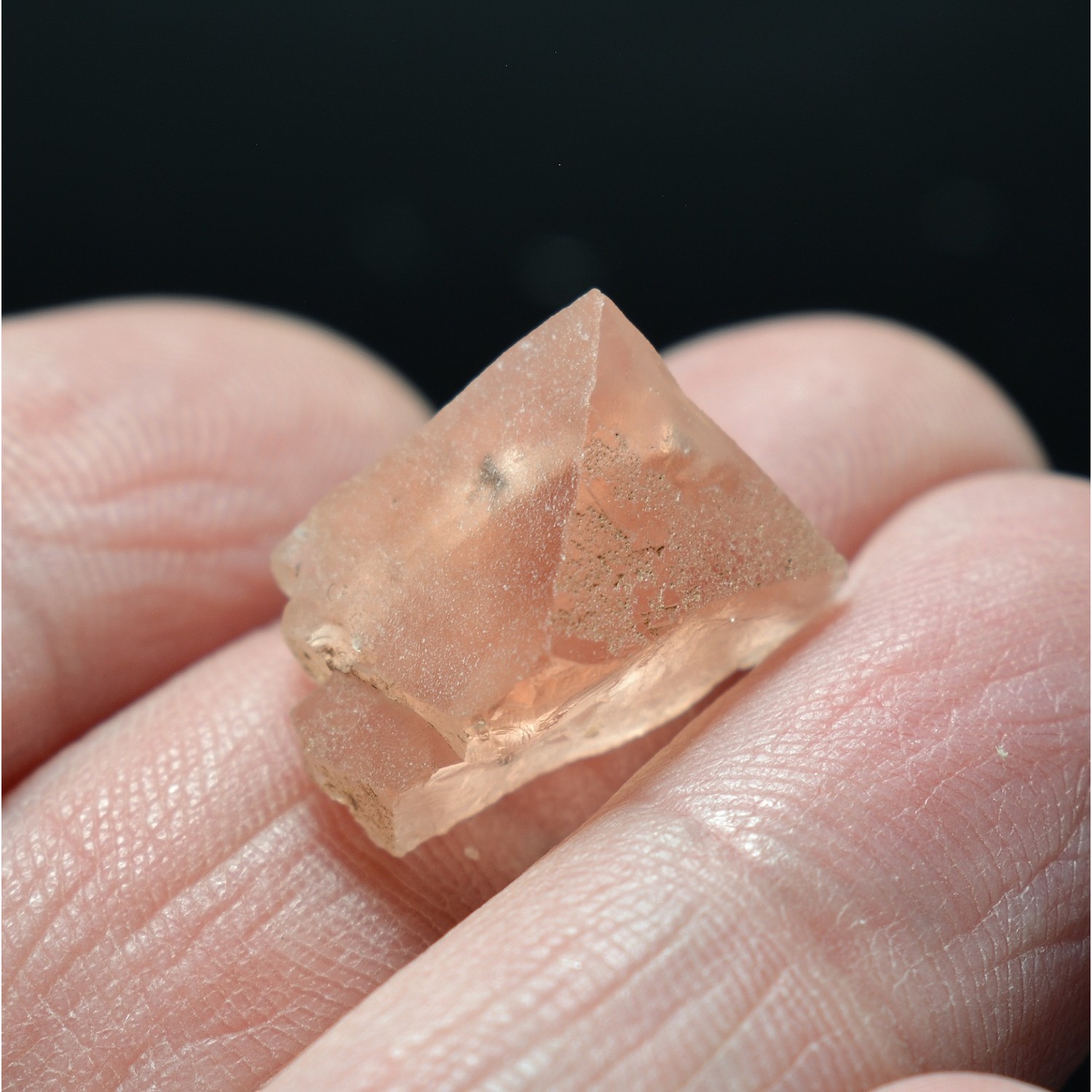 Fluorine rose - Glacier d’Argentière, Mont-Blanc, Haute-Savoie, France