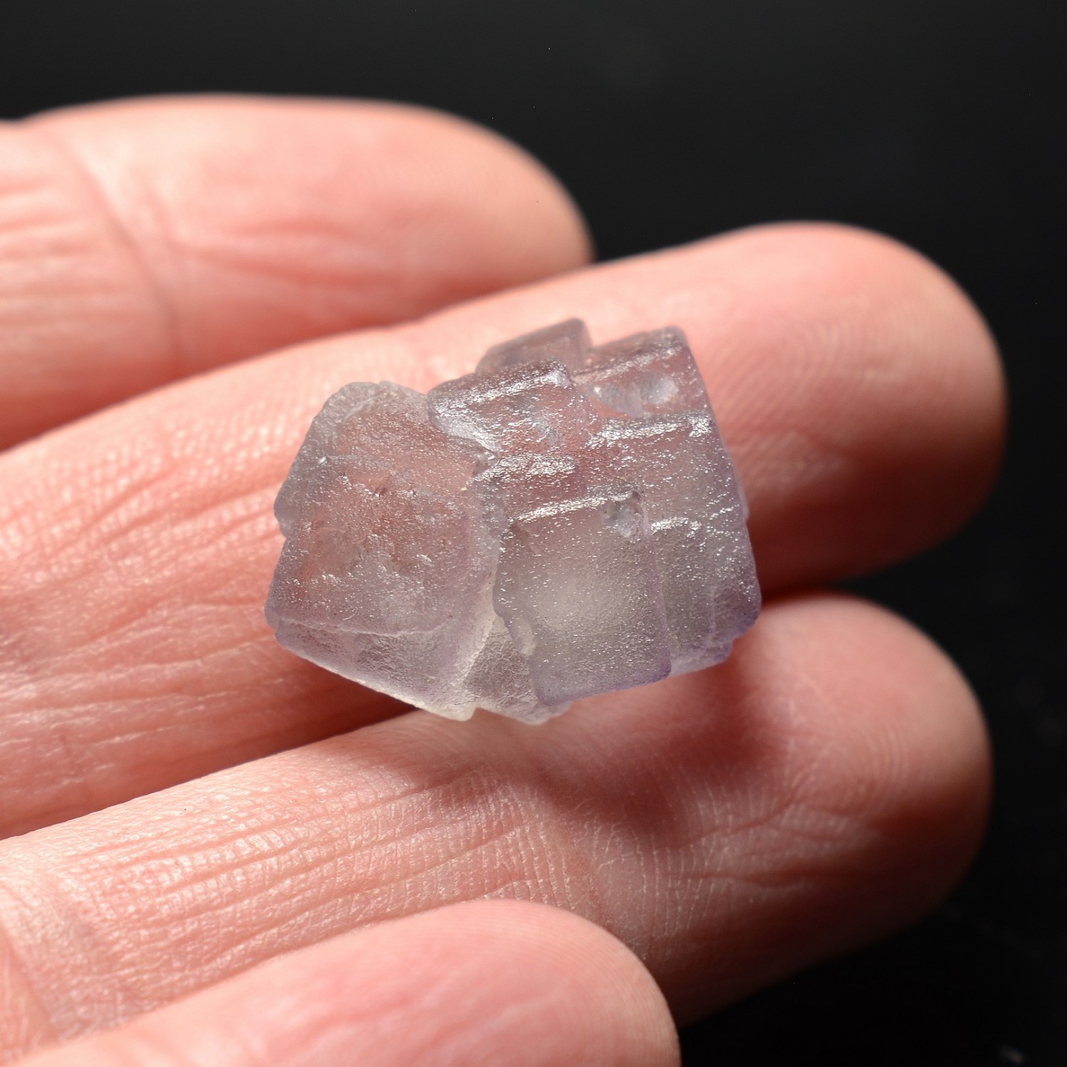 Purple fluorite - Aiguille verte, Mont-Blanc, Haute-Savoie, France