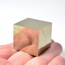 Pyrite - Navajun, La Rioja, Espagne