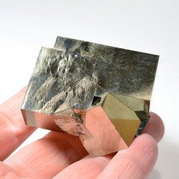 Pyrite - Navajun, La Rioja, Espagne