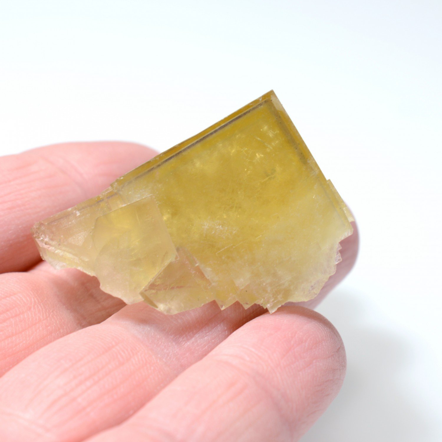 Fluorite - Marsanges, Langeac, Haute-Loire, France