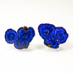 Azurite - Mine Poteryayevskoye, Rubtsovsk, Russie