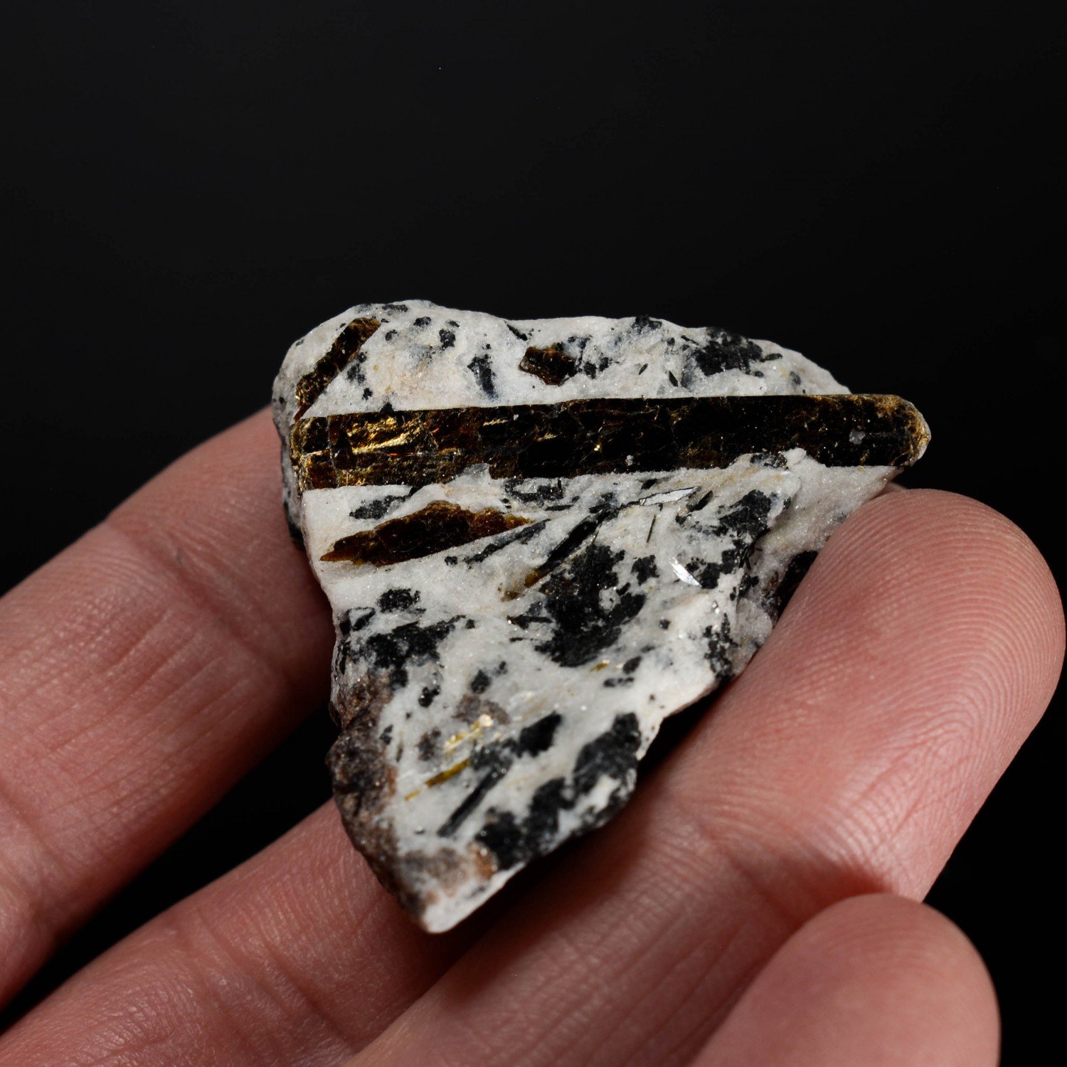 Astrophyllite - Mount Eveslogchorr, Khibiny Massif, Kola Peninsula, Russia.