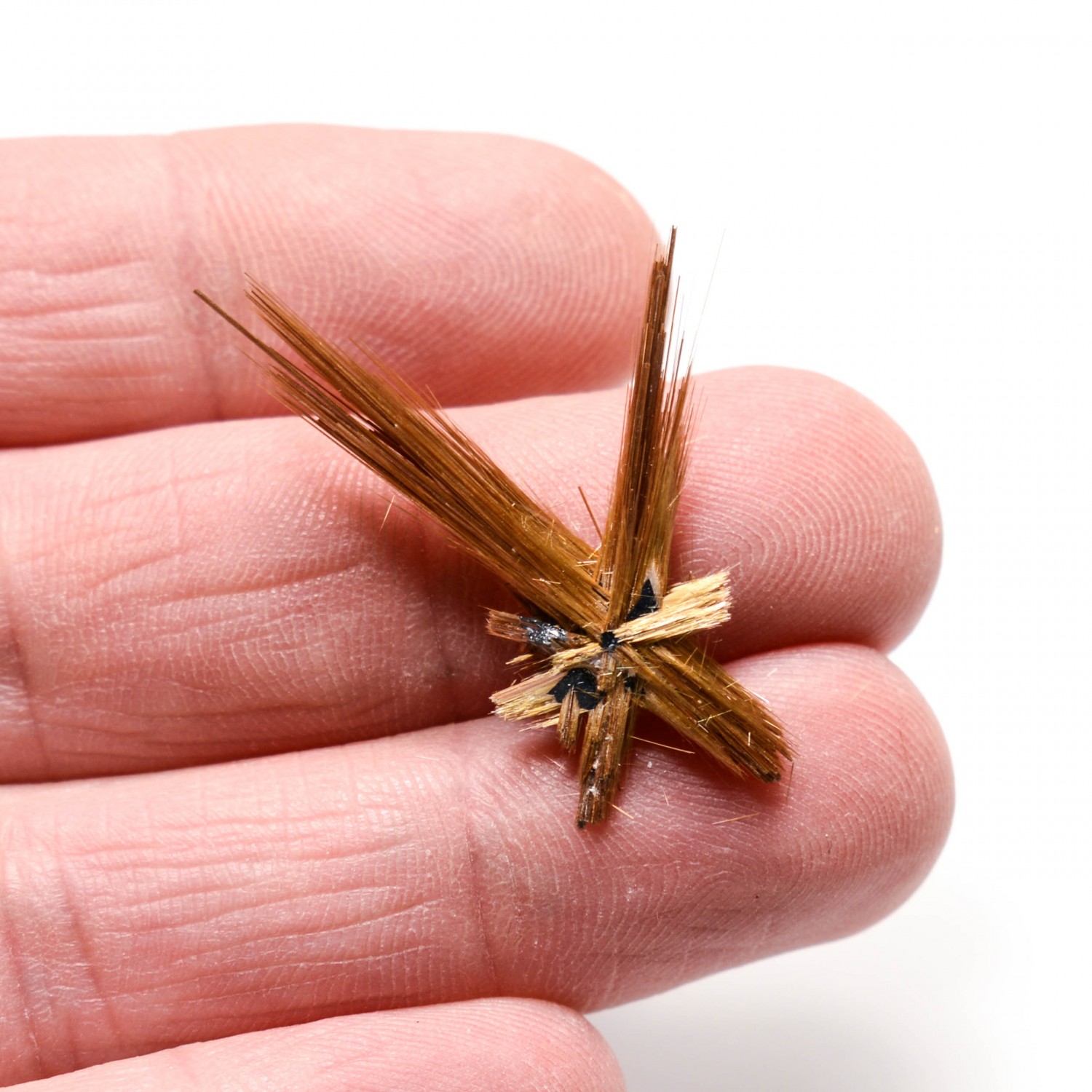 Star Rutile - Novo Horizonte, Bahia, Brazil