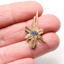 Rutile étoilé - Novo Horizonte, Bahia, Brésil