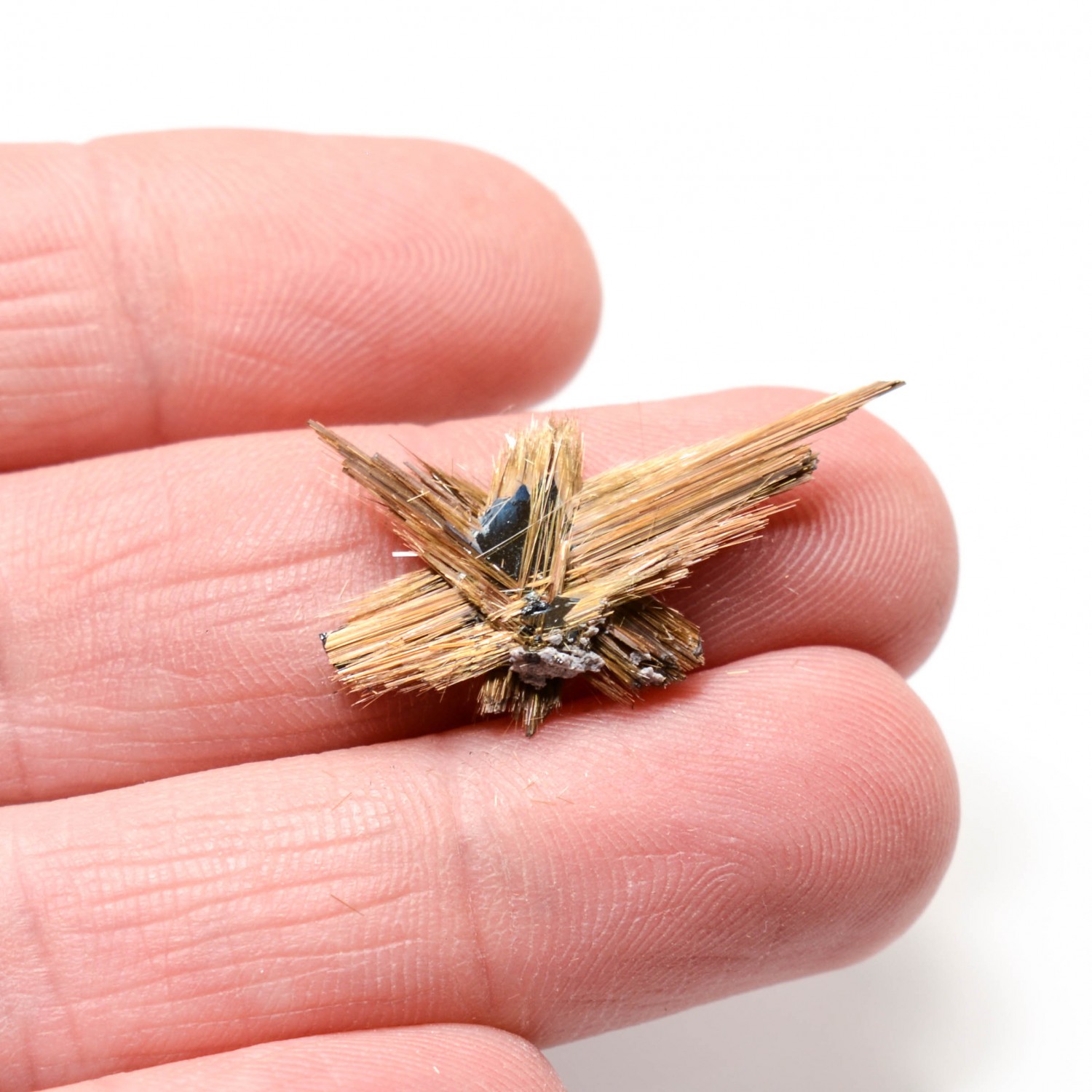 Star Rutile - Novo Horizonte, Bahia, Brazil