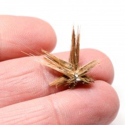 Star Rutile - Novo Horizonte, Bahia, Brazil