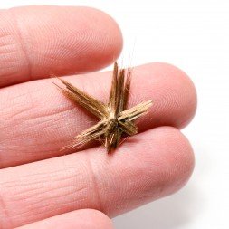 Rutile étoilé - Novo Horizonte, Bahia, Brésil