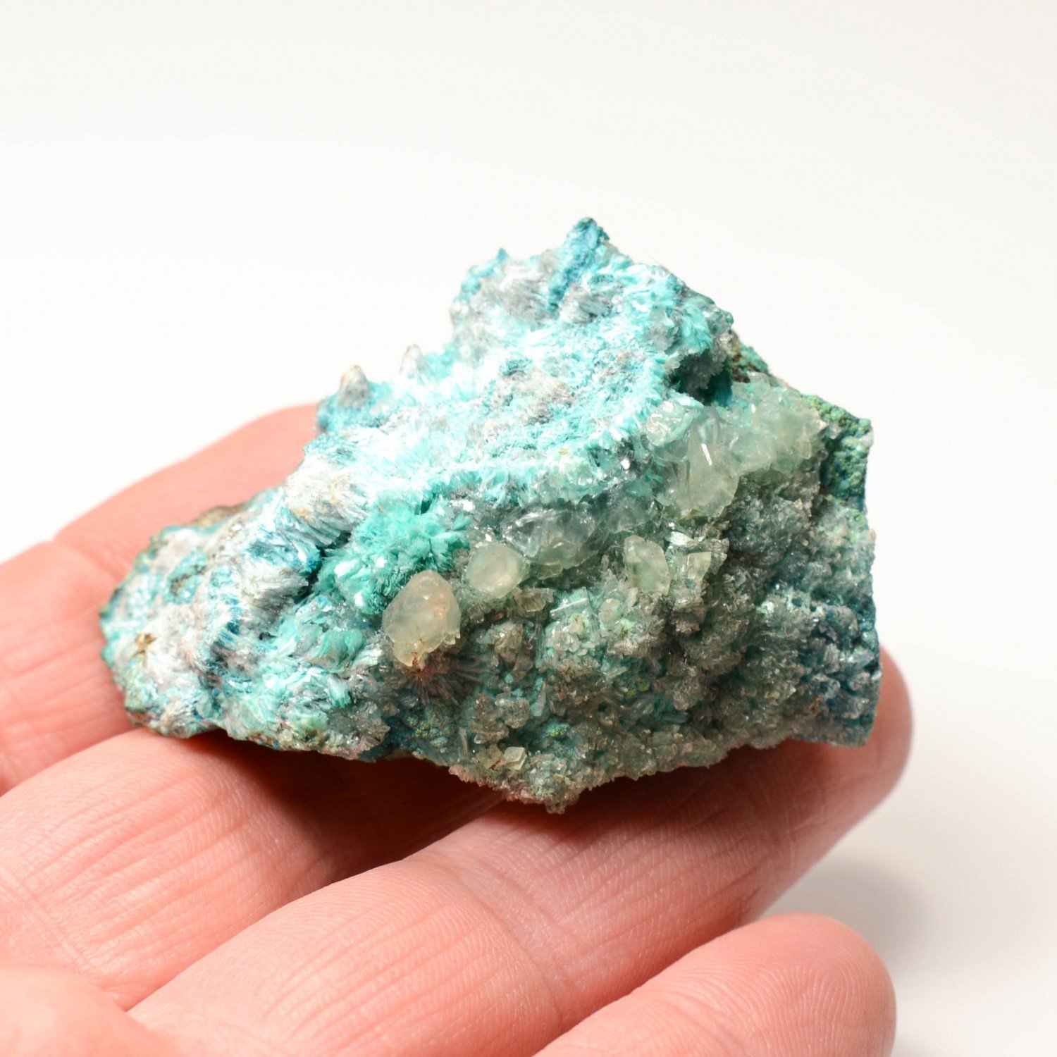 Aurichalcite - Mine Ojuela, Mapimi, Durango, Mexique