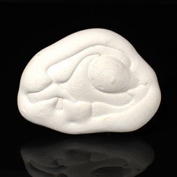 Gogotte - Irhoud, Maroc