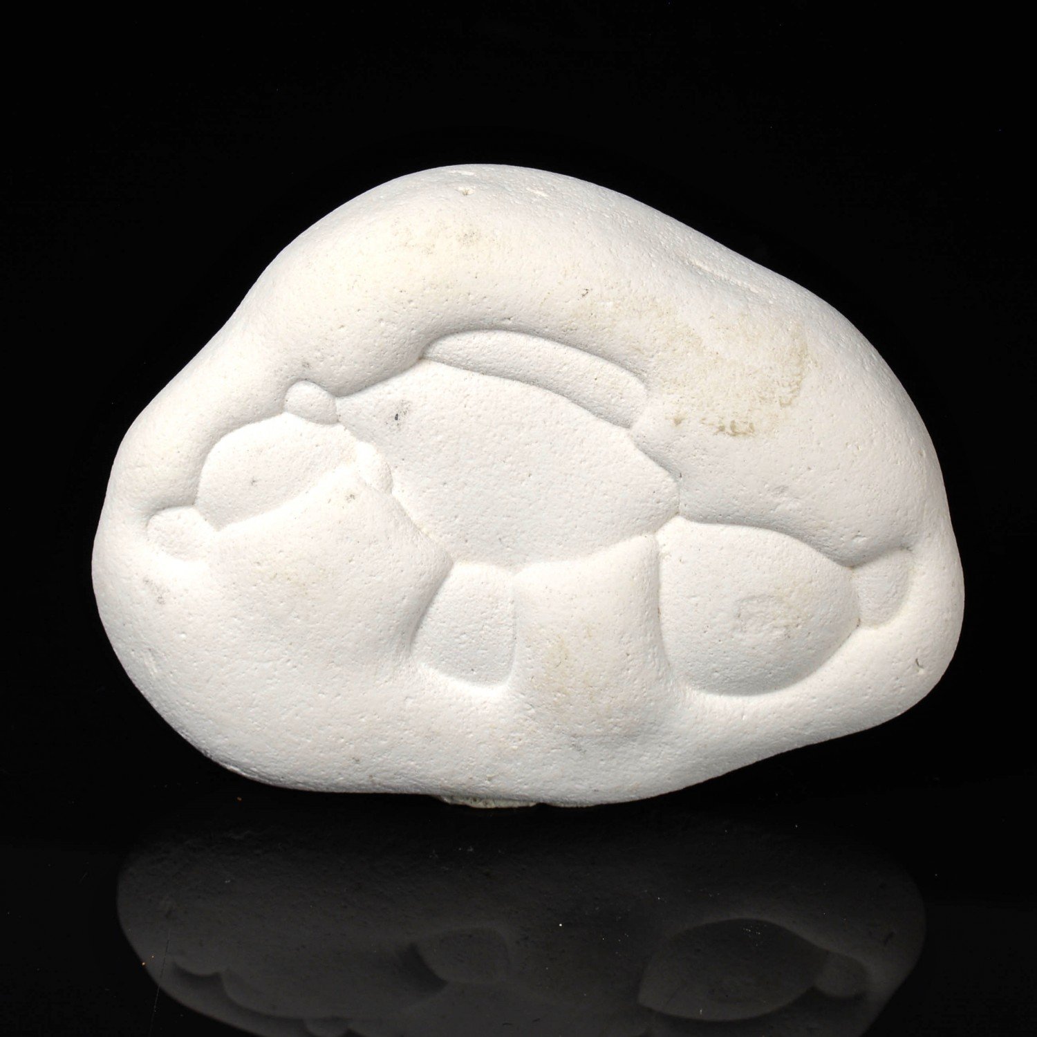 Gogotte - Irhoud, Maroc Gogotte - Irhoud, Maroc